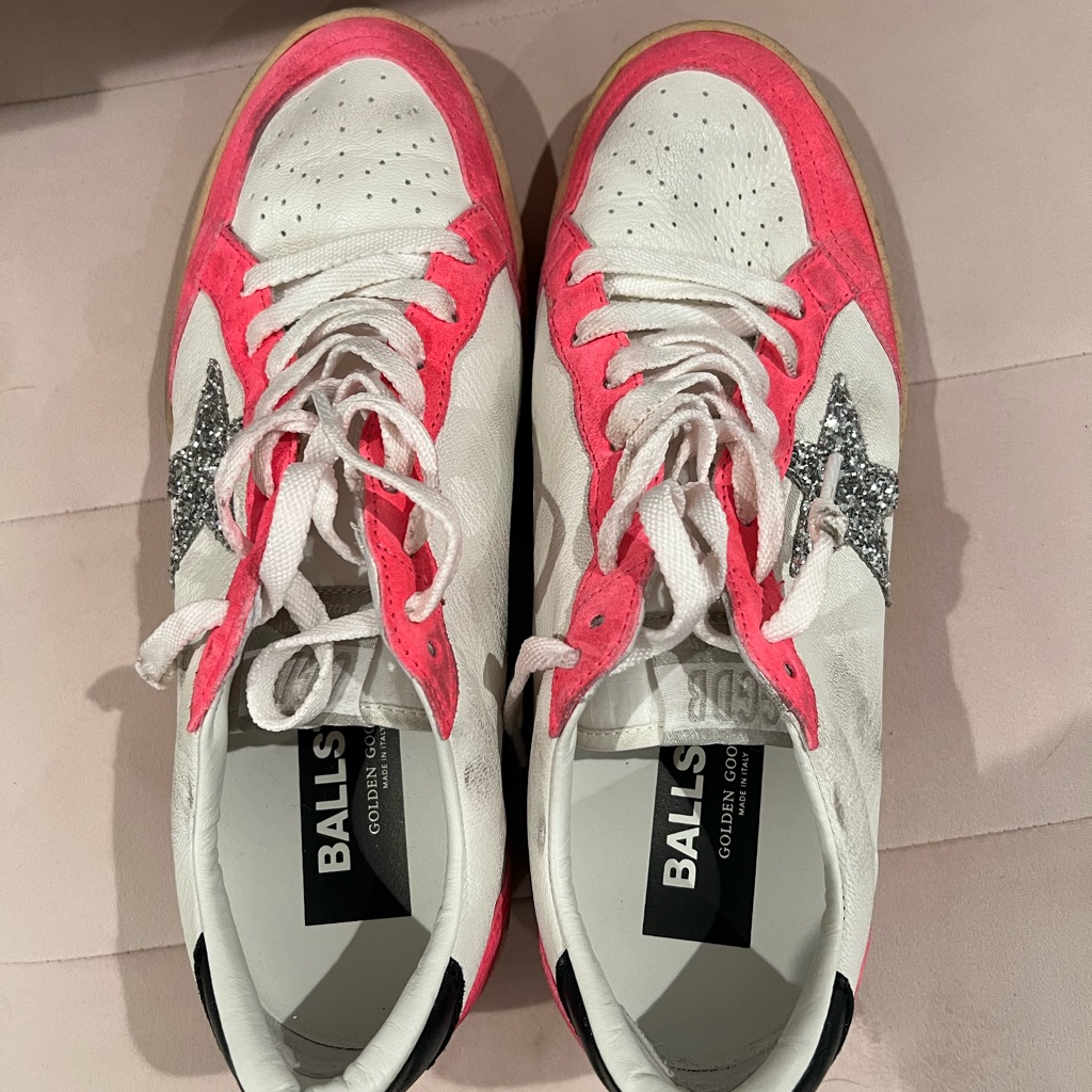 Brand New Golden Goose